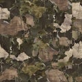 Abstract Earth Tone Camouflage Texture Background