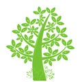 Abstract Eco Tree Silhouette with Leaf and Vines Royalty Free Stock Photo