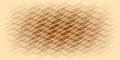 Abstract ecru background with shades of brown stripes