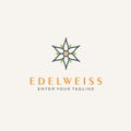 Abstract edelweiss flower for Logo Design Inspiration Royalty Free Stock Photo