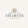 Abstract edelweiss flower for Vintage Logo Design Inspiration Royalty Free Stock Photo