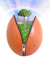 Abstract egg unzipped unzip zipper zip tree environment open birth new rainbow sky growth grow Royalty Free Stock Photo