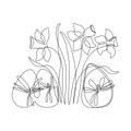 Abstract eggs, blooming narcissus flower background. Easter continuous one line drawing Royalty Free Stock Photo