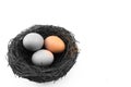 Abstract of eggs in the small artificial bird nest Royalty Free Stock Photo