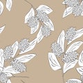 Abstract elegance pattern with floral background Royalty Free Stock Photo
