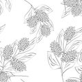 Abstract elegance pattern with floral background Royalty Free Stock Photo