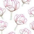 Abstract Elegance pattern with floral background Royalty Free Stock Photo