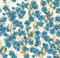 Abstract Elegance vector illustration texture with forget-me-not. Royalty Free Stock Photo