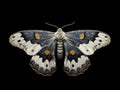 Abstract of a emperor moth. Use it to make postcards, posters. Generative AI