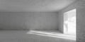 Abstract empty, modern concrete room with light thru doorframe opening with tree shadow and rough floor - industrial interior