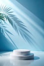 Abstract empty white podium with leaves shadows on blue background. Mock up stand for product presentation. 3D Render. Minimal Royalty Free Stock Photo
