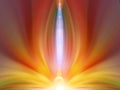 Abstract energy flower. Color autumn background.