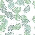 Abstract exotic plant seamless pattern. Botanical leaf wallpaper. Tropical pattern, palm leaves floral background Royalty Free Stock Photo