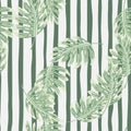 Abstract exotic plant seamless pattern. Botanical leaf wallpaper. Tropical pattern, palm leaves floral background Royalty Free Stock Photo