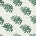 Abstract exotic plant seamless pattern. Botanical leaf wallpaper. Tropical pattern, palm leaves floral background Royalty Free Stock Photo