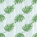 Abstract exotic plant seamless pattern. Botanical leaf wallpaper. Tropical pattern, palm leaves floral background Royalty Free Stock Photo
