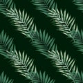 Abstract exotic plant seamless pattern. Tropical palm leaves pattern. Fern leaf wallpaper. Botanical texture. Floral background Royalty Free Stock Photo