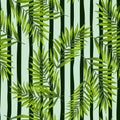 Abstract exotic plant seamless pattern. Tropical palm leaves pattern. Fern leaf wallpaper. Botanical texture. Floral background Royalty Free Stock Photo