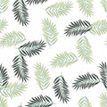 Abstract exotic plant seamless pattern. Tropical palm leaves pattern. Fern leaf wallpaper. Botanical texture. Floral background Royalty Free Stock Photo