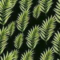 Abstract exotic plant seamless pattern. Tropical palm leaves pattern. Fern leaf wallpaper. Botanical texture. Floral background Royalty Free Stock Photo