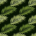 Abstract exotic plant seamless pattern. Tropical palm leaves pattern. Fern leaf wallpaper. Botanical texture. Floral background Royalty Free Stock Photo