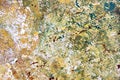 Abstract Expressionist Painted Background hand painted art