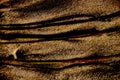 Abstract extreme close-up of beach sand, furrows and shadows