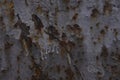 Abstract Extreme Rusted Metal Textures background closeup Royalty Free Stock Photo