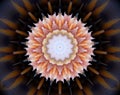 Abstract extruded mandala 3D illustration