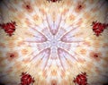 Abstract extruded mandala 3D illustration 5 sided star