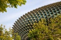 Abstract Facade of the Esplanade Theatres on the Bay in Singapore. Royalty Free Stock Photo