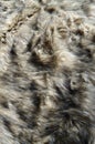 Abstract fake fur background Royalty Free Stock Photo