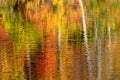 Abstract of fall colour reflections
