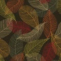 Abstract fall leaves seamless pattern Leaf skeleton print Autumn foliage illustration Leafy background