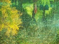 Abstract fall water reflection Royalty Free Stock Photo