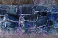 Abstract fancy big rock wall with plant violet dreamy background