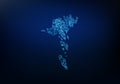 Abstract of faroe Islands map network, internet and global connection concept, Wire Frame 3D mesh polygonal network line, design