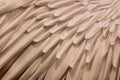 Abstract feather background, soft mocha brown color, art design