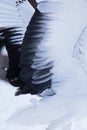 Abstract Feathers of Angel Wings Royalty Free Stock Photo