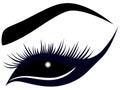 Abstract female eye with long lashes