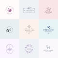 Abstract Feminine Vector Signs, Symbols or Logo Templates Set. Retro Floral Illustration with Classy Typography, Birds Royalty Free Stock Photo