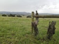 Abstract fence Royalty Free Stock Photo