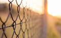 Abstract wired fence in the sunset