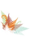 Abstract fern design element