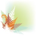 Abstract fern design element