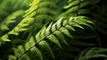 Abstract Fern Leaves Background AI Generated