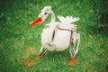 Abstract figure of transformer goose