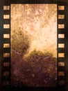 Abstract film strip background