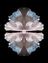 Abstract fine art of moving fish tail of Betta fish