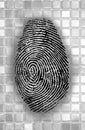 Abstract Fingerprint Royalty Free Stock Photo